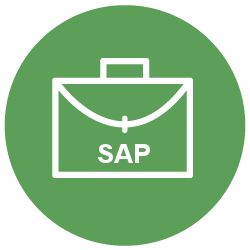 SAP BI Sample Resume