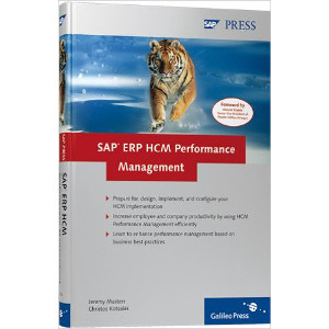 SAP ERP HCM Performance Management