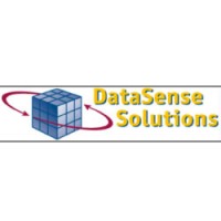Data Sense Solutions
