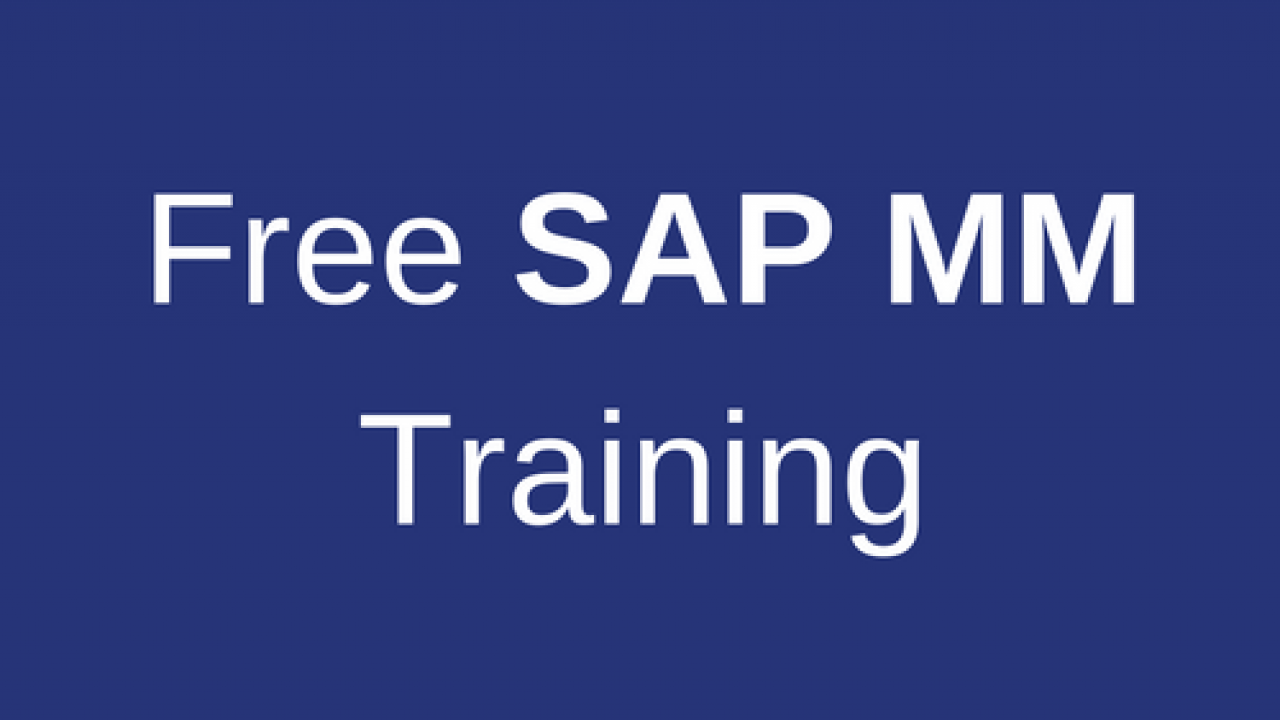 sap business one training manual