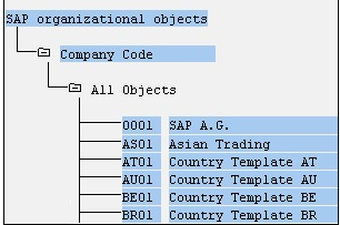 assignment of company code to company in sap