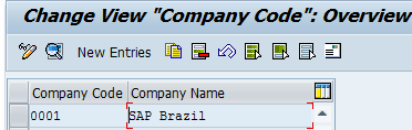 assignment of company code to company in sap