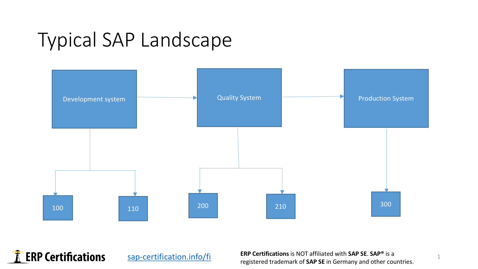 Sap Organizational Chart