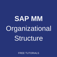 sap mm organizational structure