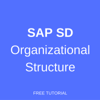 sap sd organizational structure