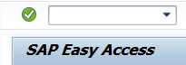 SAP Transaction Bar