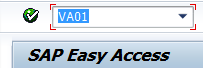 Enter VA01 Transaction