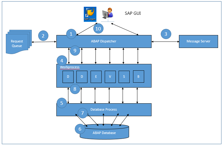 SAP Logon Process Overview