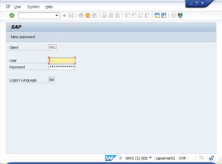 SAP Logon Screen