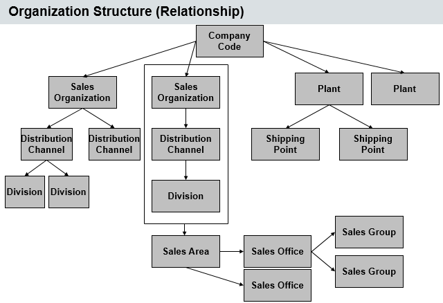 Extended SAP SD Organizational Structure