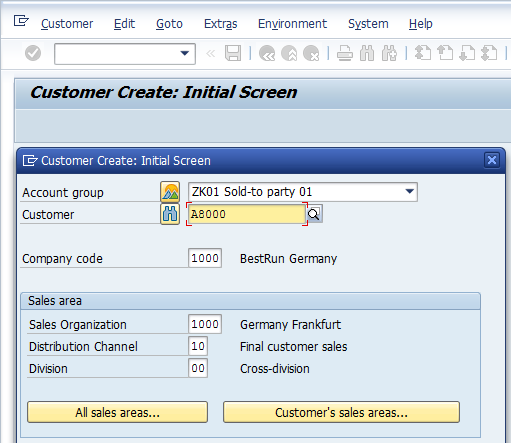 Customer Master - Initial Screen with fields populated