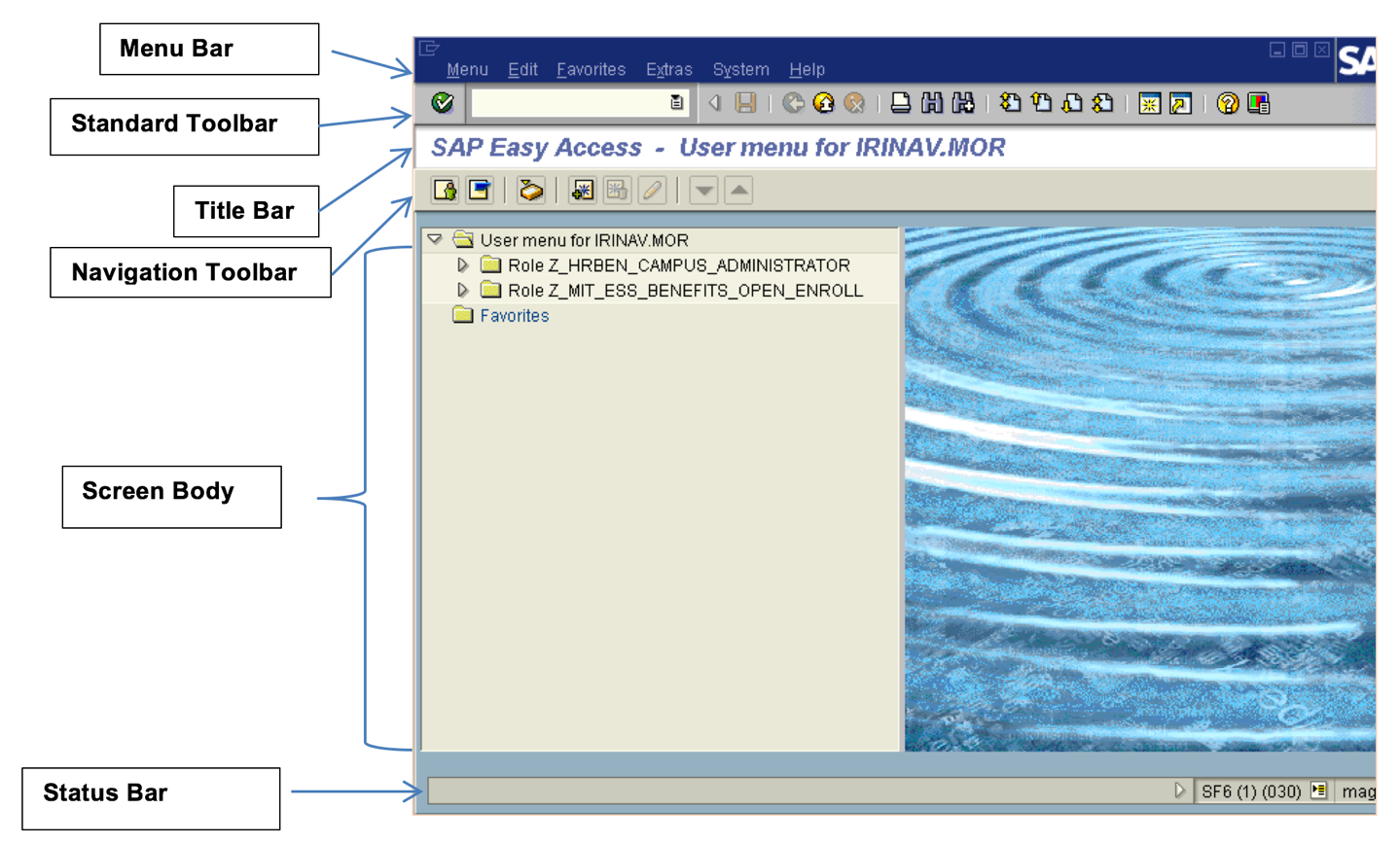 SAP Logon screen