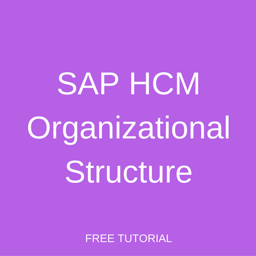 SAP HCM Organizational Structure