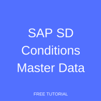SAP SD Conditions Master Data