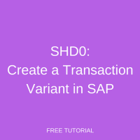 SHD0 – Create a Transaction Variant in SAP