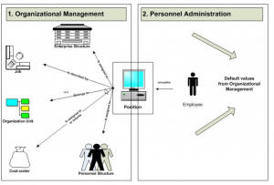 org assignment in sap hcm