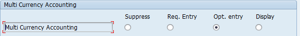 Multi Currency Accounting Group of Fields