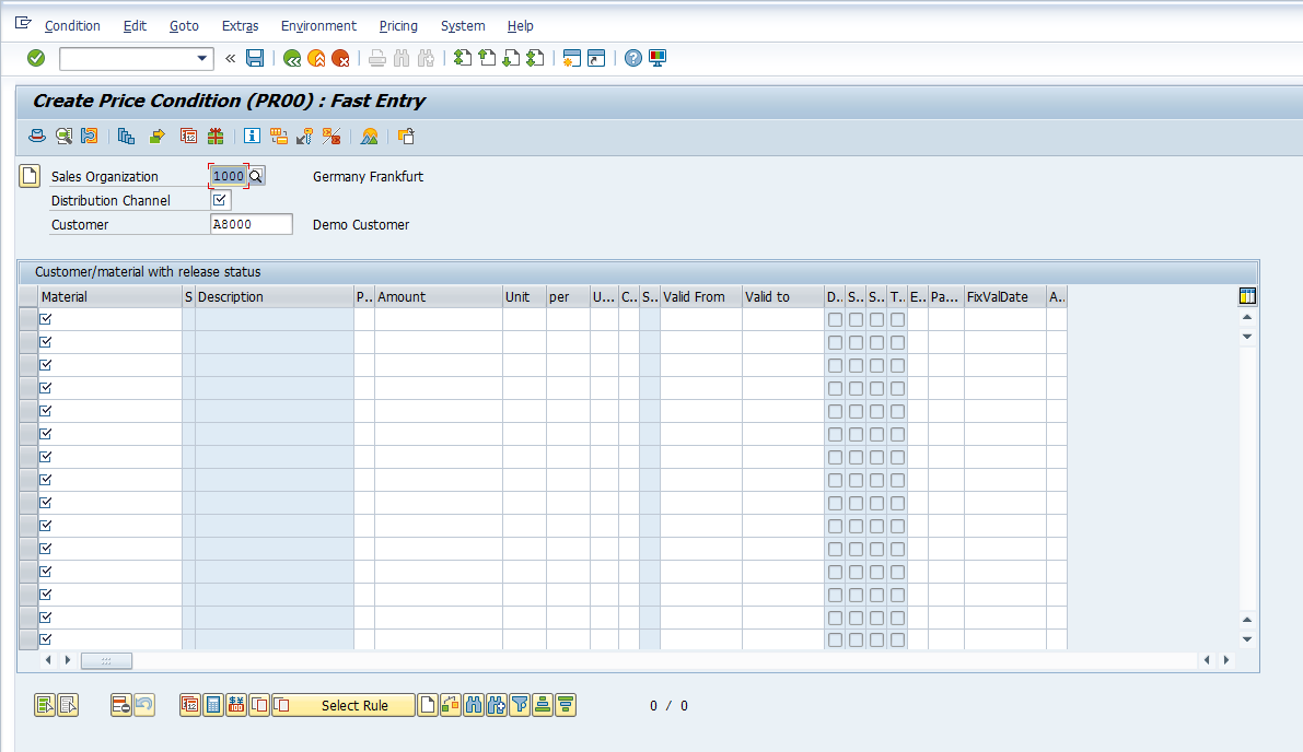 Pricing Conditions Master Data - Entry Screen