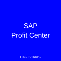 SAP Profit Center