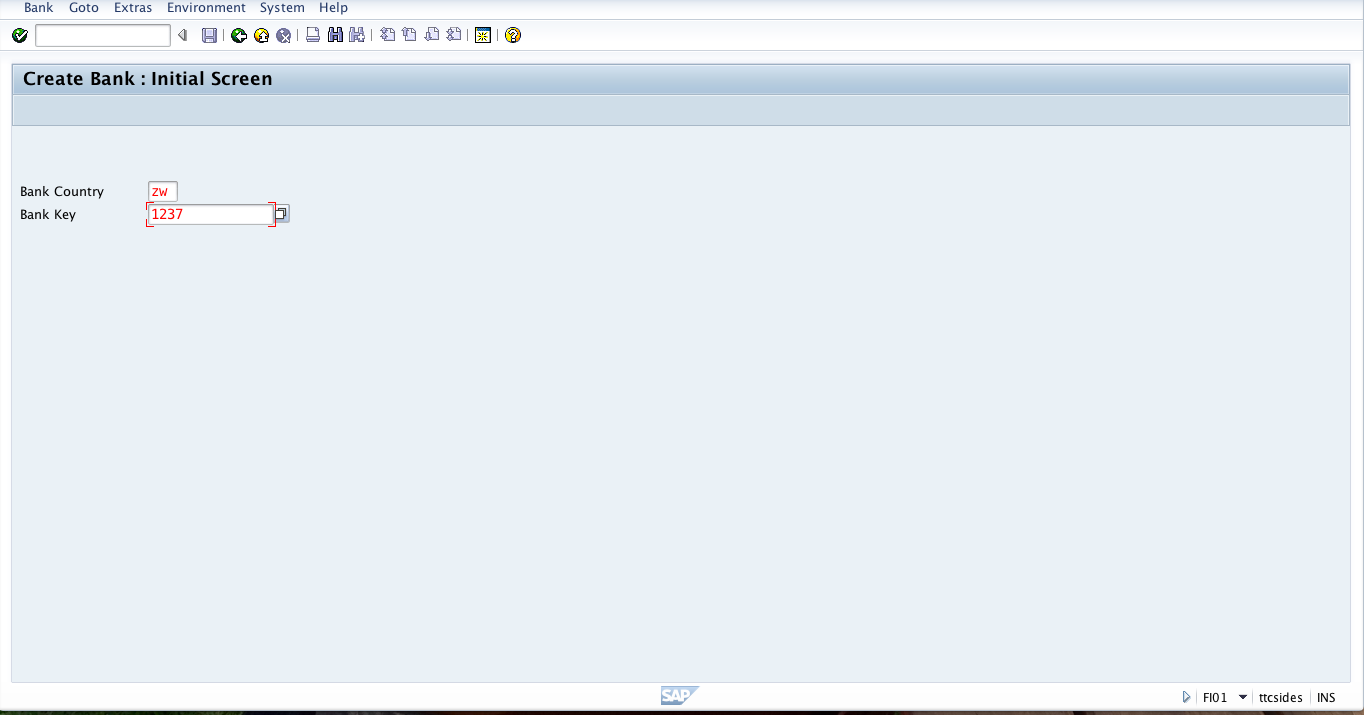 Initial Screen Showing Bank Key and Bank Country