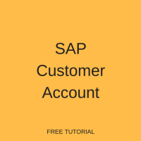 SAP Customer Account