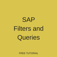 SAP Filters and Queries