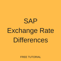 SAP Exchange Rate Differences