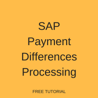 SAP Payment Differences Processing