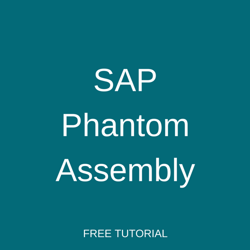 SAP Phantom Assembly