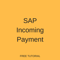 SAP Incoming Payment