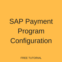 SAP Payment Program Configuration