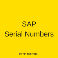 SAP Serial Numbers