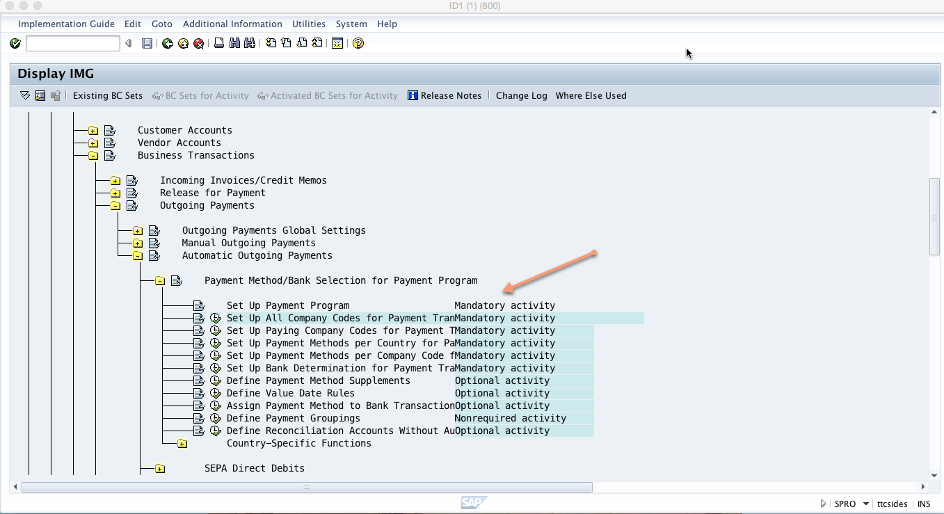 SAP Payment Program Configuration Tutorial - Free SAP FI Training