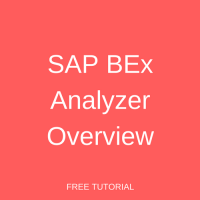 SAP BEx Analyzer Overview