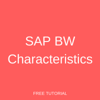 SAP BW Characteristics