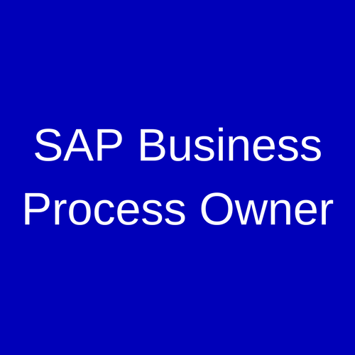 SAP Business Process Owner