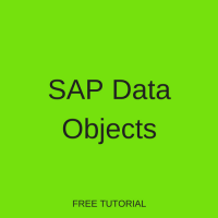 SAP Data Objects