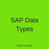 SAP Data Types