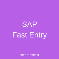 SAP Fast Entry