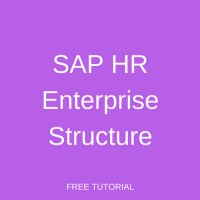 SAP HR Enterprise Structure