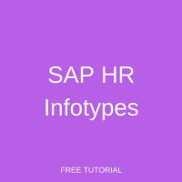 SAP HR Infotypes