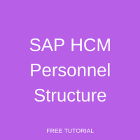 SAP Personnel Structure