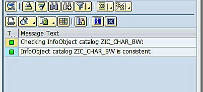 Results of InfoObject Catalog Check