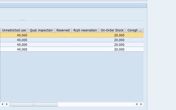 Right Column of SAP Stock Overview Listing Stock Types