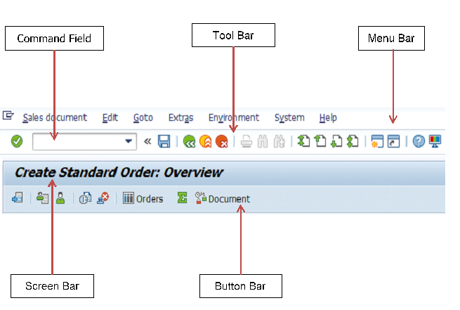 SAP Header Section