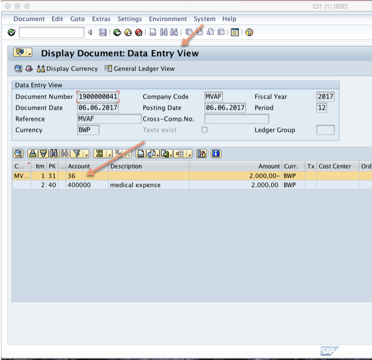 Displaying invoice document in entry view