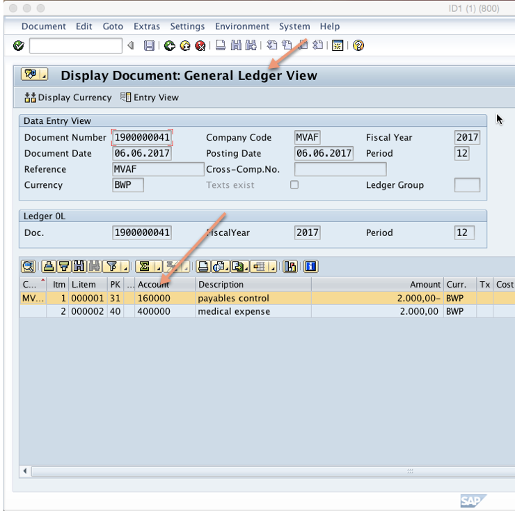 Displaying invoice document in general ledger view