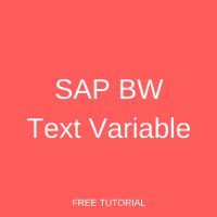 SAP BW Text Variable