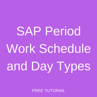 SAP Period Work Schedule and Day Types