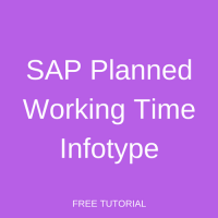 SAP Planned Working Time Infotype